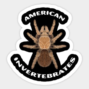 American Invertebrates Arizona Blonde logo Sticker